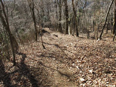 20161206hike (315)